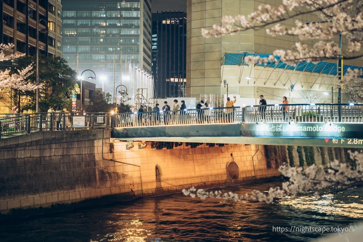 🏞️ 고탄다 만남의 물가 광장(고탄다 후레아이 미즈베 히로바) 이미지 8